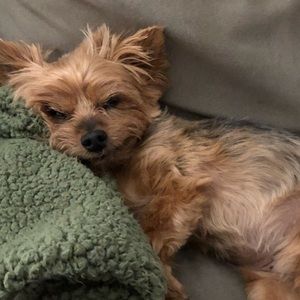 Meet your Posher, Jamie